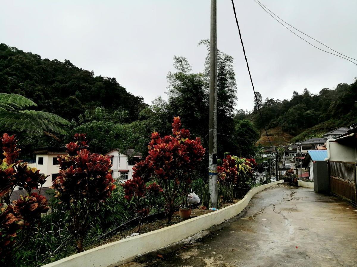 Sakura Guest House Cameron Highlands Luaran gambar